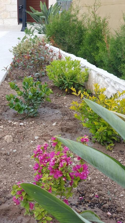 Villa Yermanina Geroskipou المظهر الخارجي الصورة